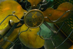 216658_10150730627275627_8088307_n