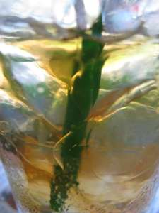 269075_10150694993250627_8362270_n