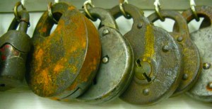 281868_10150730626150627_7872371_n